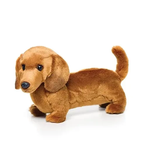 Pet Toy